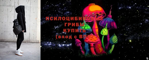 героин Богданович