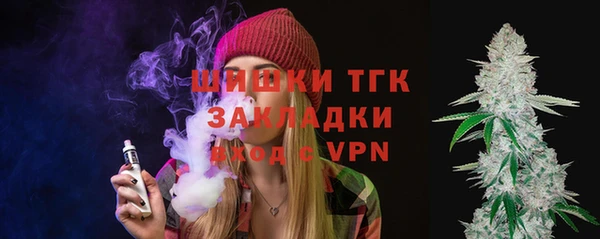 mdpv Бородино