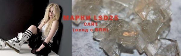 mdpv Бородино