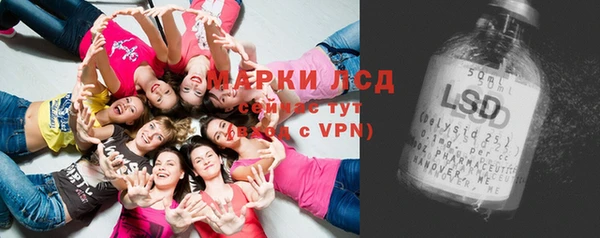 mix Богородицк