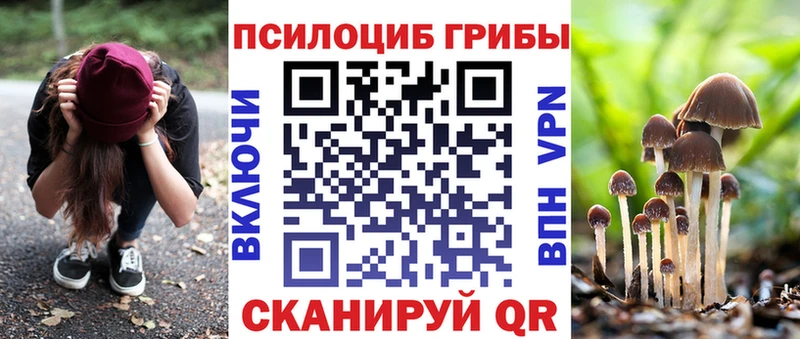 Галлюциногенные грибы Psilocybe  где можно купить   Северск 